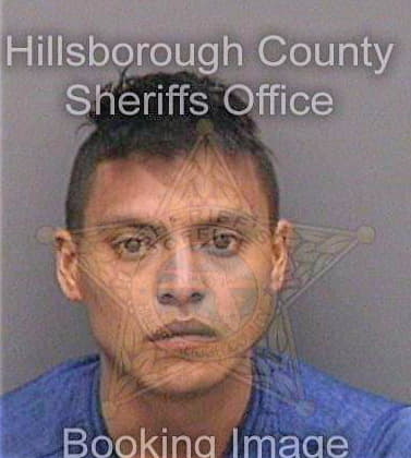 Ramirez-Hernandez Antonio - Hillsborough County, FL 