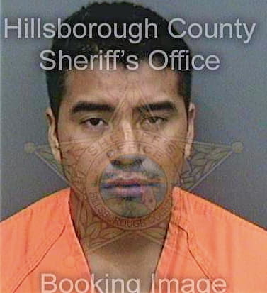 Josesantos Jaime - Hillsborough County, FL 