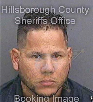 Perez Hector - Hillsborough County, FL 