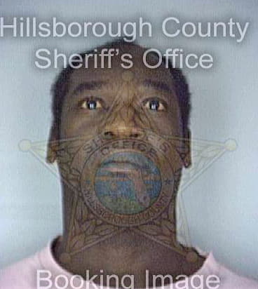 Smith Anthony - Hillsborough County, FL 