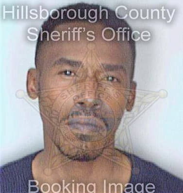 Ferguson Reginald - Hillsborough County, FL 