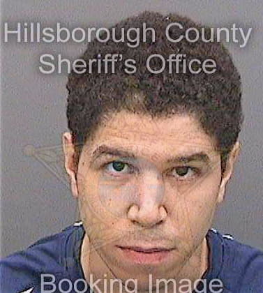 Galan Aaron - Hillsborough County, FL 