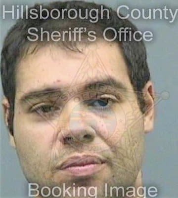 Medeiros Wesley - Hillsborough County, FL 
