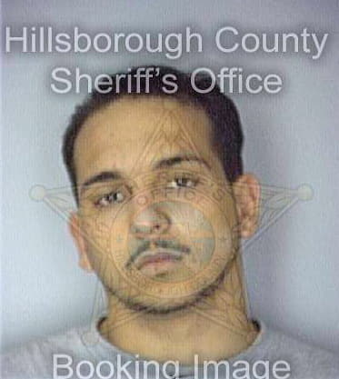 Rivera Anthony - Hillsborough County, FL 