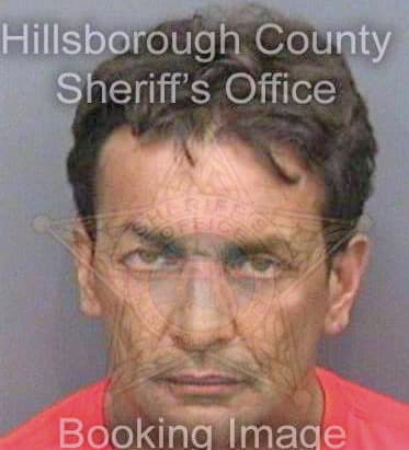 Gonzalez Carlos - Hillsborough County, FL 