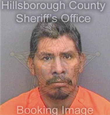 Santiago Alejandro - Hillsborough County, FL 