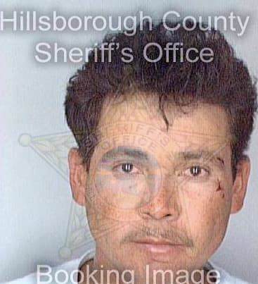 Chirino Wilme - Hillsborough County, FL 