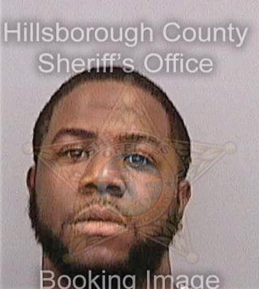 Mcswain Michael - Hillsborough County, FL 