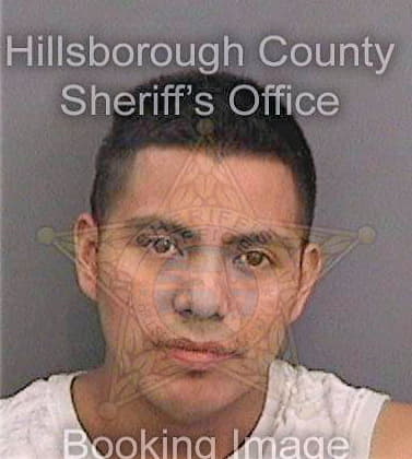 Diazhernandez Alfredo - Hillsborough County, FL 