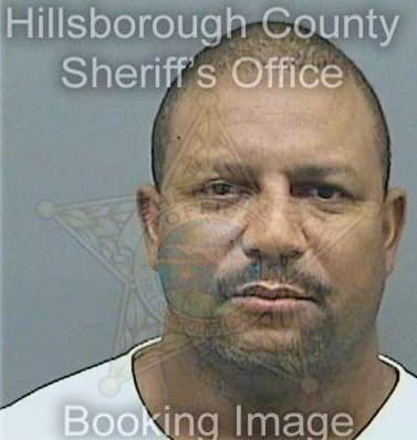 Martin James - Hillsborough County, FL 