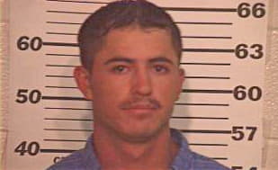 Hernandez Hector - Hidalgo County, TX 