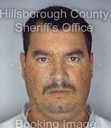 Martinez Jahaziel - Hillsborough County, FL 