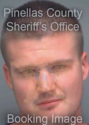 Dantzscher Reece - Pinellas County, FL 