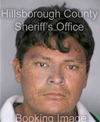 Guerrerovelazquez Freddy - Hillsborough County, FL 