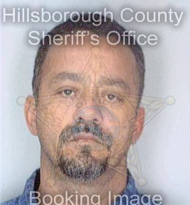 Melendez William - Hillsborough County, FL 