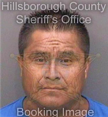 Negrellosrodriguez Rodolfo - Hillsborough County, FL 