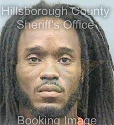 Levison Reginald - Hillsborough County, FL 