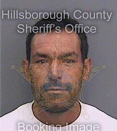 Sanchezsanchez Joaquin - Hillsborough County, FL 