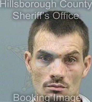 Mcnally Mark - Hillsborough County, FL 
