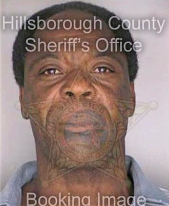 Mcpherson Silvan - Hillsborough County, FL 