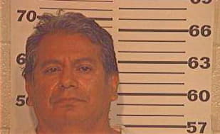 Hernandez Julian - Hidalgo County, TX 