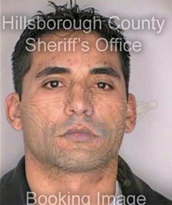 Lodonoagudelo Pablo - Hillsborough County, FL 