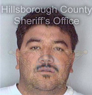 Gomez Luis - Hillsborough County, FL 