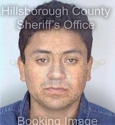 Gonzalez Emigdio - Hillsborough County, FL 