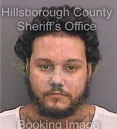 Ortiz Manuel - Hillsborough County, FL 