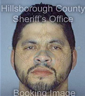 Gonzalez David - Hillsborough County, FL 