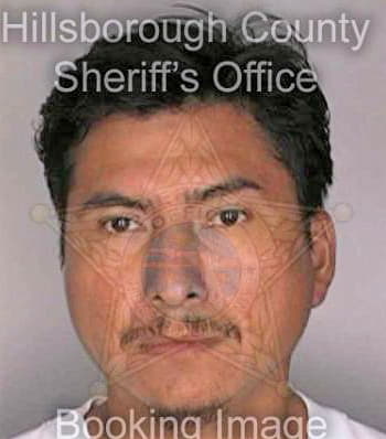 Vazquez Carlos - Hillsborough County, FL 