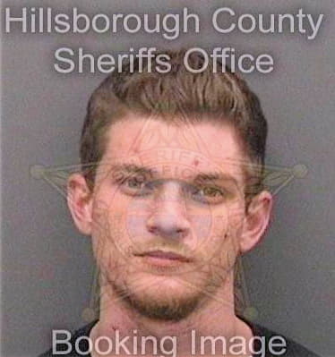 Walsh Paul - Hillsborough County, FL 