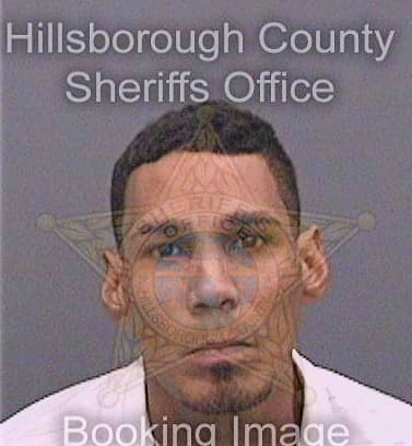 Parisortiz Allan - Hillsborough County, FL 