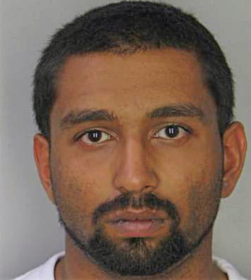 Patel Ronak - Hillsborough County, FL 