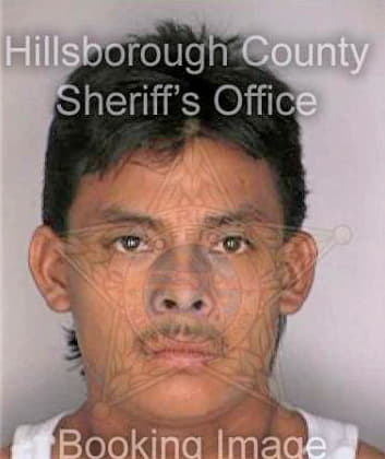 Floresjimenez Florencio - Hillsborough County, FL 