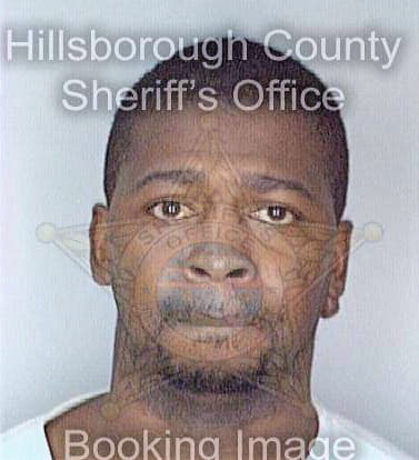 Johnson Enrico - Hillsborough County, FL 