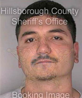 Jaramillo Salvador - Hillsborough County, FL 