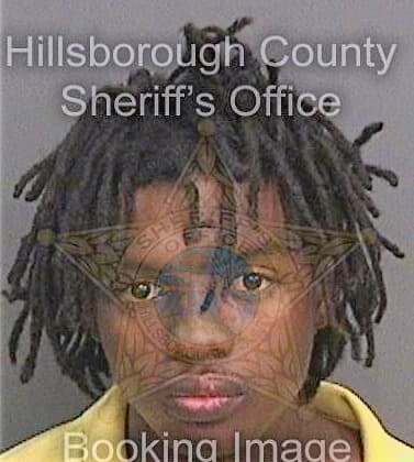 Mccallum Anthony - Hillsborough County, FL 