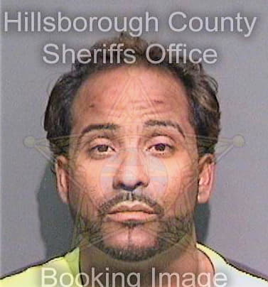 Sanchezrodriguez Moises - Hillsborough County, FL 