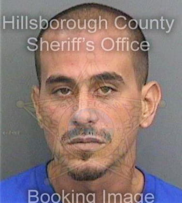 Broche George - Hillsborough County, FL 