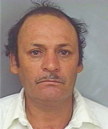 Manriquez Gonzalo - Polk County, FL 
