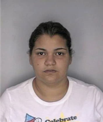 Melendez Irene - Hillsborough County, FL 