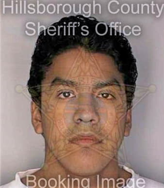 Espinosajimenez Luis - Hillsborough County, FL 