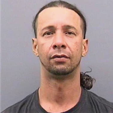 Berrocalesflores Carlos - Hillsborough County, FL 