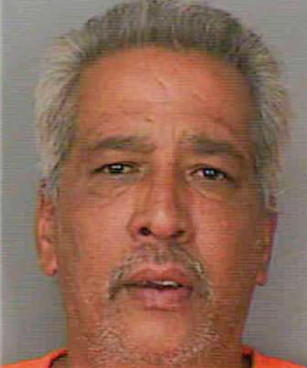 Lavin David - Polk County, FL 