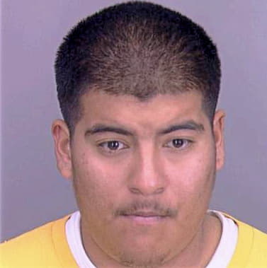 Reyes Fabian - Dallas County, TX 