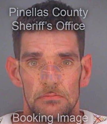 Brooks William - Pinellas County, FL 