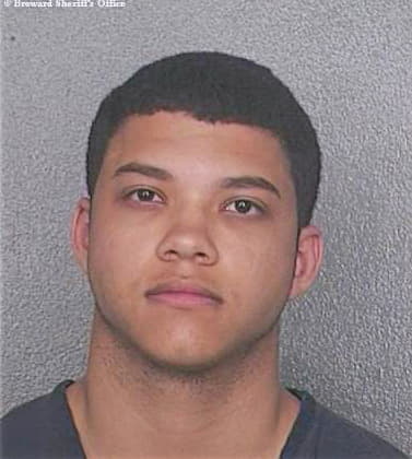 Bezianis Johnathan - Broward County, FL 