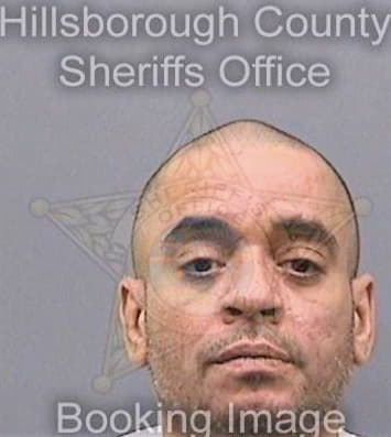 Sevilla Thomas - Hillsborough County, FL 