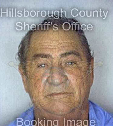 Hernandez Gerardo - Hillsborough County, FL 